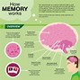 Image result for Memory Improvement Tips