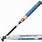 Image result for Softball and Bat