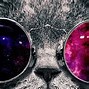 Image result for Purple Galaxy Cat Wallpaper for Profile Picture