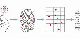 Image result for How Fingerprint Reader Works