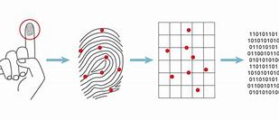 Image result for How Fingerprint Scanner Works