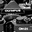 Image result for Old Olympus Fixed Lens Film Camera