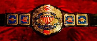 Image result for Custom USA Wrestling Belts