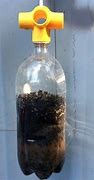 Image result for Best Fly Trap Bait