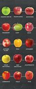 Image result for Apple Fruit Comparison