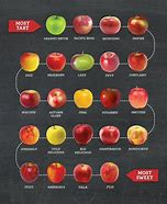 Image result for Apples Are Fruits