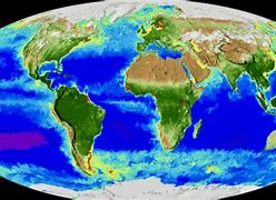 Image result for Earth in 20 Years