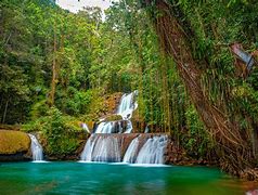 Image result for jamaica