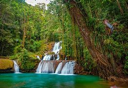 Image result for Jamaica