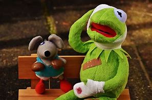 Image result for Kermit Dog