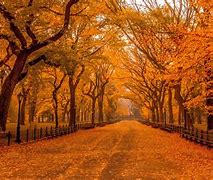 Image result for Fall Scenes