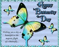 Image result for Butterfly Image Happy Day