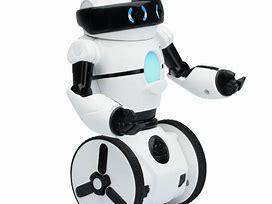 Image result for Entertainment Robots for Adults