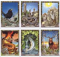 Image result for Druid Animal Oracle