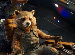 Image result for Rocket Racoon Friends