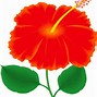 Image result for Tropical Flower Clipart
