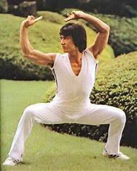 Image result for Jackie Chan Martial Arts Style