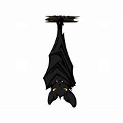 Image result for Cartoon Laying Down Bat