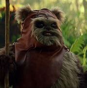 Image result for Wicket Ewok Face