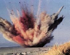 Image result for Exploding Whale Memorial Park