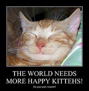 Image result for Cat Realistic Smile Meme