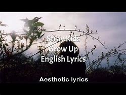 Image result for Stray Kids Grow Up Lyrics