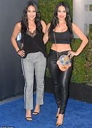 Image result for Bella Twins Black Dress WWE