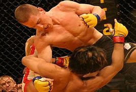 Image result for Mixed Martial Arts Styles