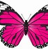 Image result for Pink Butterfly Images Clip Art
