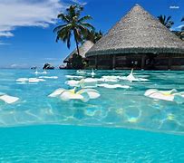 Image result for Mexican Beach Desktop Wallpaper