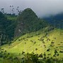 Image result for Quindio Colombia