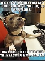 Image result for Dog Customer Service Meme