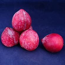 Image result for Ruby Star Apple's