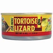 Image result for Tropical Magic Reptile Food