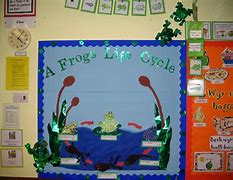Image result for Frog Life Cycle Display