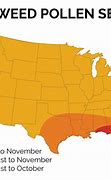 Image result for Ragweed Allergy Map United States