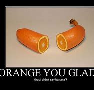 Image result for Muscular Oranges Funny