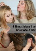 Image result for Book Lice Cocoon
