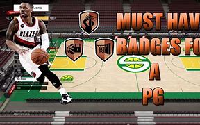 Image result for NBA 2K16 Park Badges