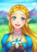 Image result for Loz BOTW Artwork