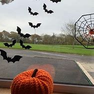 Image result for Bat Window Toy