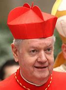 Image result for Cardinal Hat Catholic