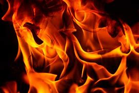 Image result for Fire Log Texture