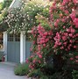 Image result for Large Acreage English Garden Design