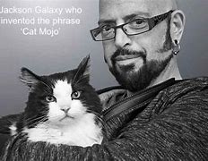 Image result for Jackson Galaxy Meme