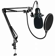 Image result for 800 Mic