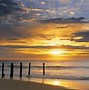 Image result for Beach Palm Tree Sunset Purple