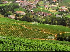 Image result for Beaujeu Pays Bouches Rhone Terre Camargue