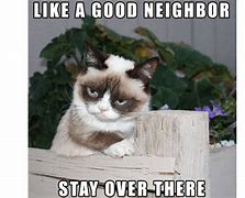 Image result for Grumpy Cat Gray Meme