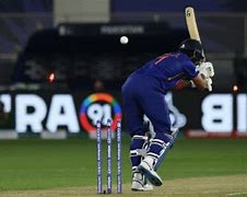 Image result for Wicket
